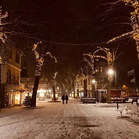Duke-fewo An Der Radau -bummelallee *